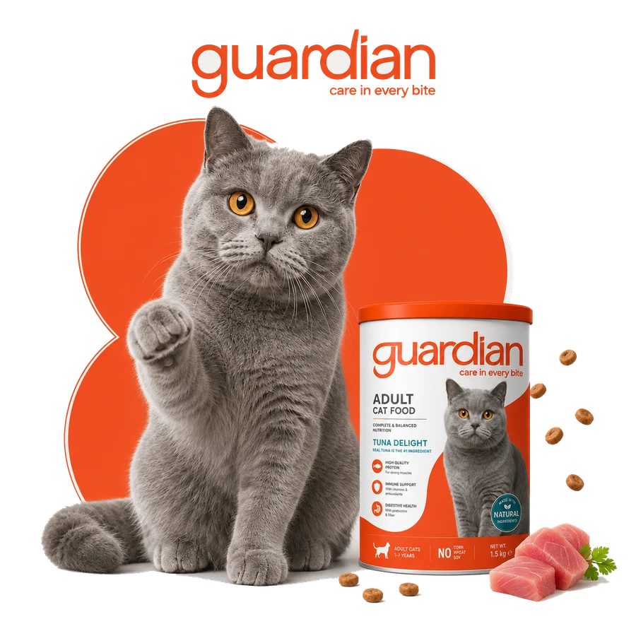 Professional Services for Happy Pets