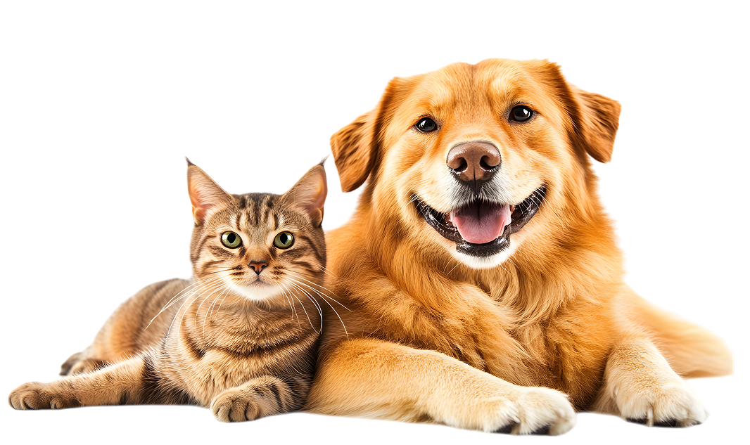 Everything Your Pet Needs, In One Place